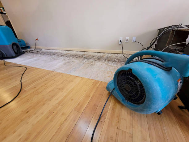 Professional Structural Drying technician working in Hope, NJ
